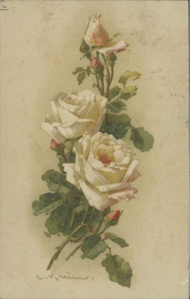 Катарина Кляйн. Розы с открытки.