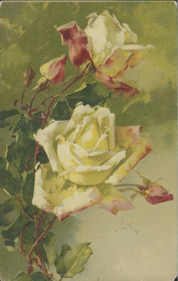 Катарина Кляйн. Белые розы в саду.